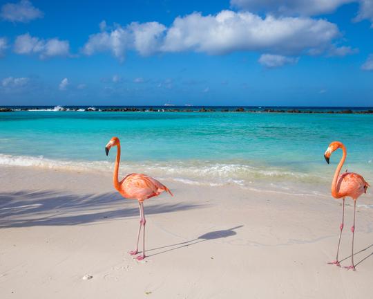 Oranjestad destination