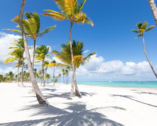 Punta Cana destination