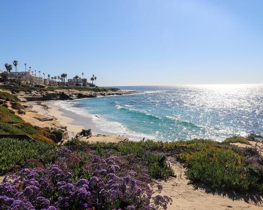 San Diego destination