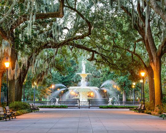 Savannah destination