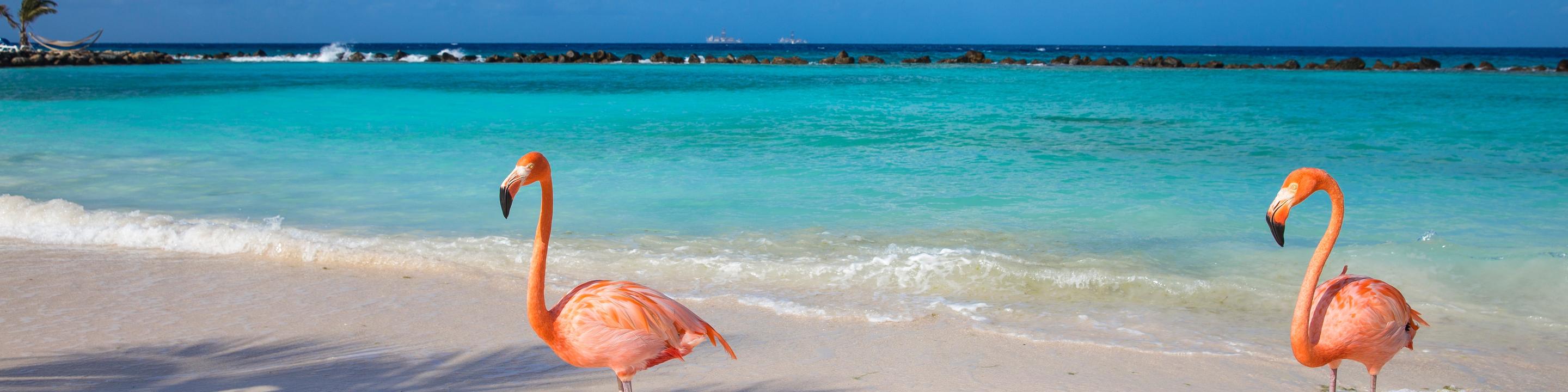 Aruba