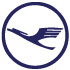 airline icon