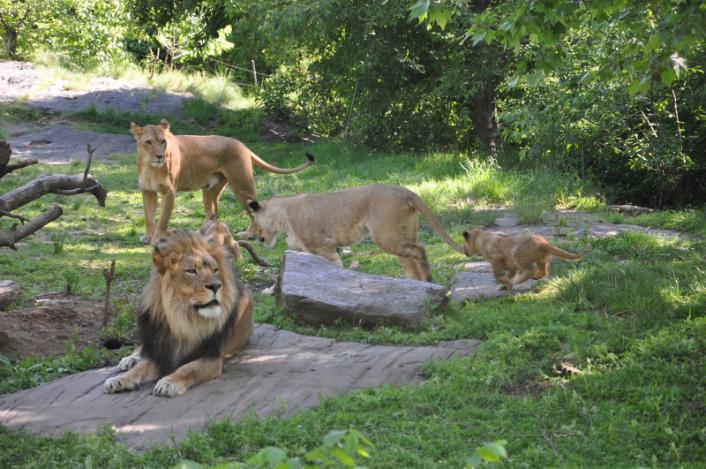 The Ten Best Zoos In The World Hopper